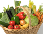 Basket of vegetables